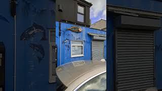 #Upfest 2024 [42] Bristol Fish Shop - Andrew Burns Colwill