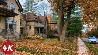 Autumn Morning Walk | Beautiful Old Homes and Victoria Park, Kitchener???????? | ASMR 4K 60fps