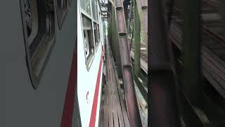 The train passes an old iron bridge. | #shorts #relaxing #trending