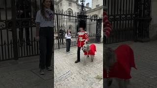 SHEAMUS and the Royal Guard at Horse Guard!" #Shorts