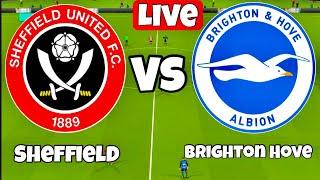 Sheffield United VS Brighton Live Match