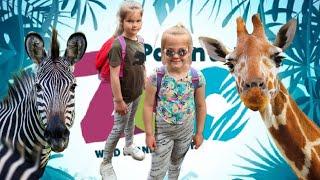 Paington Zoo/ UK/ Пайнтон Зоопарк/ Англия