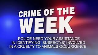 Animal Cruelty | Crime Stoppers of Sault Ste Marie & Algoma District