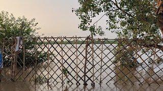 Flood in Delhi ! Delhi Sur Ghat !Iron Bridge Delhi #flood #floods #floodalert #ironbridge