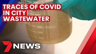 COVID-19 traces found in Adelaide wastewater | 7NEWS