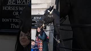 THE LADY TOURIST GOT TOO CLOSE TO THE KING'S HORSE #horse #london #horseguards #kingsguard #viral