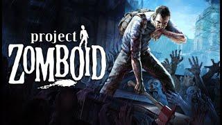 Project Zomboid -  Мои вкусы в PZ весьма специфичны...