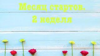 Месяц стартов. 2 неделя